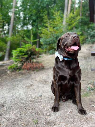 Zeigt eure Portraits-Beitrag-Bild