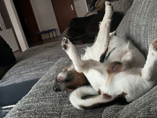 Relaxen im bett-Beitrag-Bild