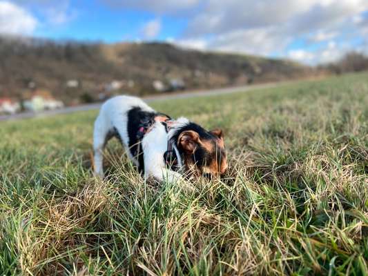 Foto-Challange No.1 - Alles aber nicht die Kamera-Beitrag-Bild