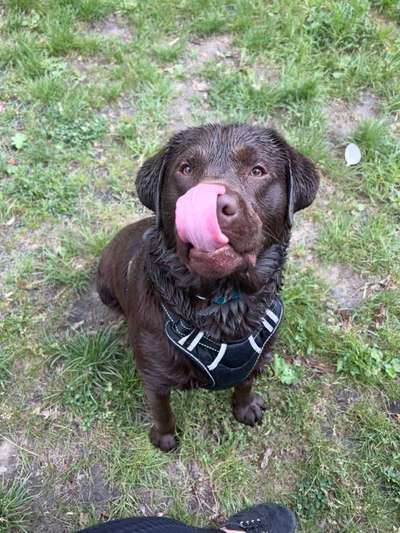 Handyfoto challenge Nr. 13: Waschlappen raus!-Beitrag-Bild