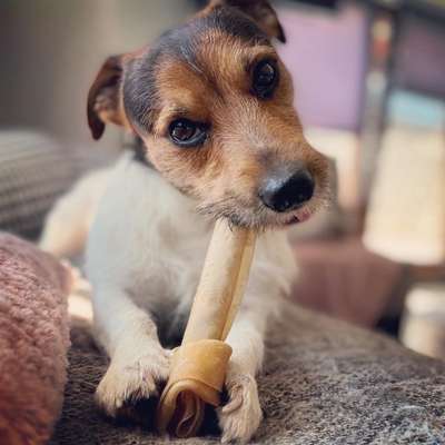 Zeigt eure Portraits-Beitrag-Bild