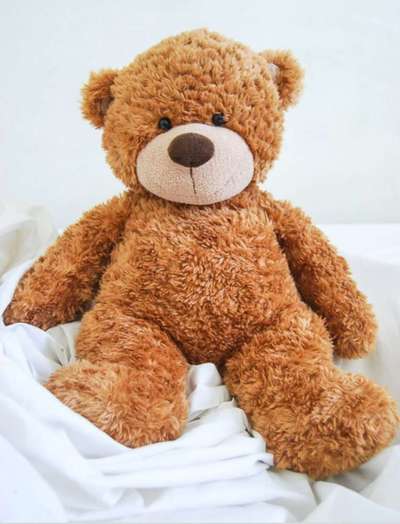 Wie heißt dein Hund?-Beitrag-Bild