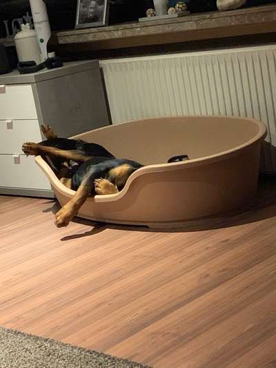 Die unbequemsten und lustigsten Schlafpositionen-Beitrag-Bild