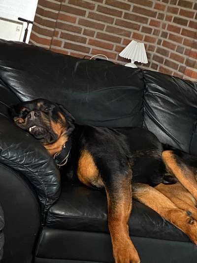 Die unbequemsten und lustigsten Schlafpositionen-Beitrag-Bild