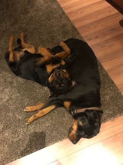 Die unbequemsten und lustigsten Schlafpositionen-Beitrag-Bild