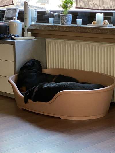 Die unbequemsten und lustigsten Schlafpositionen-Beitrag-Bild