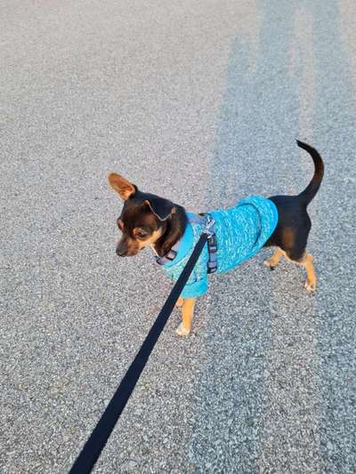 Lieblingsbild :D-Beitrag-Bild