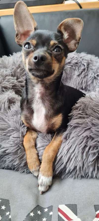 Lieblingsbild :D-Beitrag-Bild