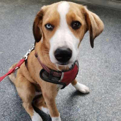 Evelyne's Profilbild