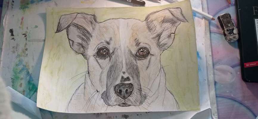 Ich zeichne deine Fellnase-Beitrag-Bild