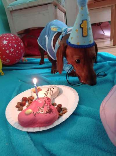 happy birthday-Beitrag-Bild