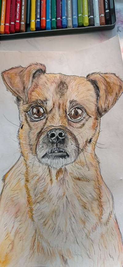 Ich zeichne deine Fellnase-Beitrag-Bild