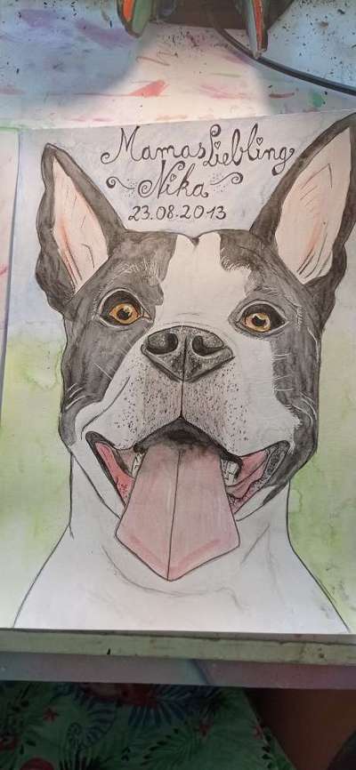 Ich zeichne deine Fellnase-Beitrag-Bild