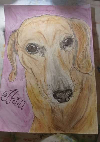 Ich zeichne deine Fellnase-Beitrag-Bild