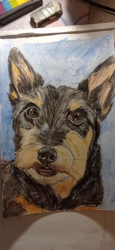 Ich zeichne deine Fellnase-Beitrag-Bild