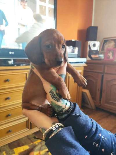 Sie werden so schnell erwachsen ...-Beitrag-Bild