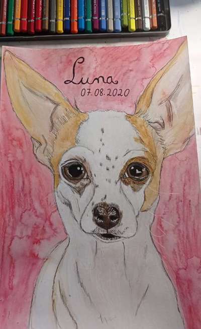 Ich zeichne deine Fellnase-Beitrag-Bild