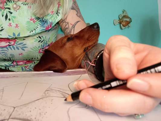 Ich zeichne deine Fellnase-Beitrag-Bild