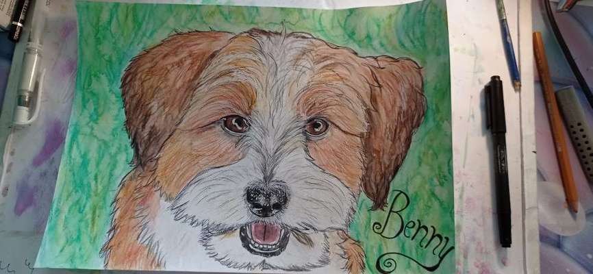 Ich zeichne deine Fellnase-Beitrag-Bild