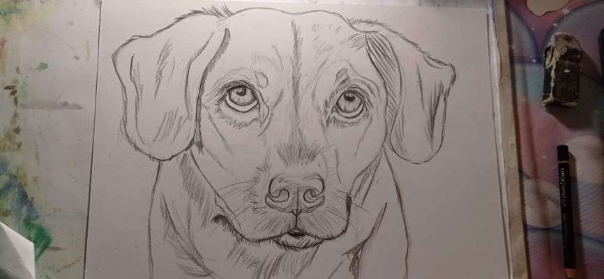 Ich zeichne deine Fellnase-Beitrag-Bild