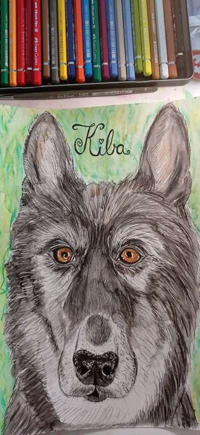 Ich zeichne deine Fellnase-Beitrag-Bild