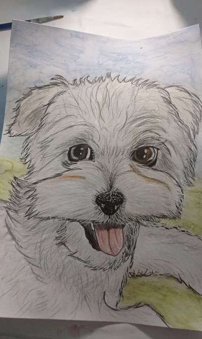 Ich zeichne deine Fellnase-Beitrag-Bild