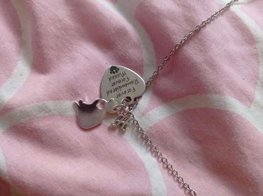 ich fertige personalisierte Halsketten, Armbänder & Fußketten zb Andenken an Regenbogenbrückenhunde-Beitrag-Bild