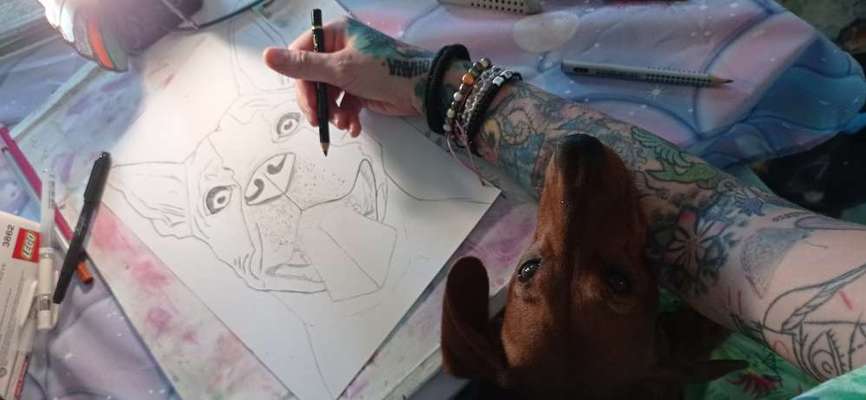 Ich zeichne deine Fellnase-Beitrag-Bild