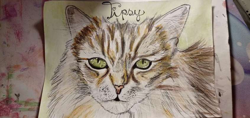 Ich zeichne deine Fellnase-Beitrag-Bild