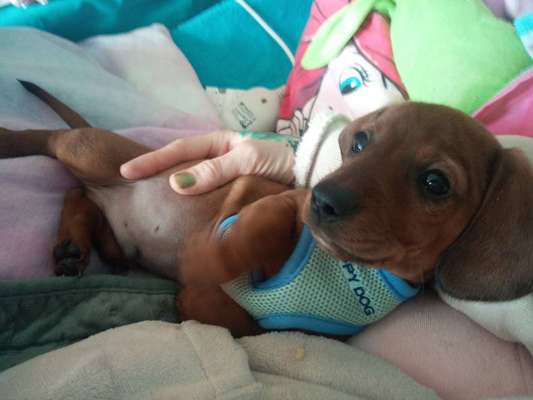 Sie werden so schnell erwachsen ...-Beitrag-Bild