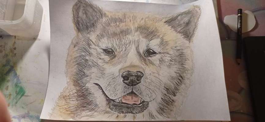 Ich zeichne deine Fellnase-Beitrag-Bild