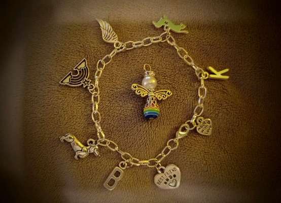 Regenbogenhund Gedenkarmband-Beitrag-Bild