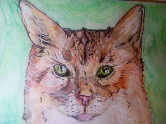 Ich zeichne deine Fellnase-Beitrag-Bild