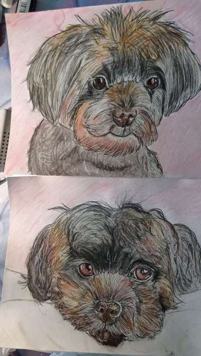 Ich zeichne deine Fellnase-Beitrag-Bild