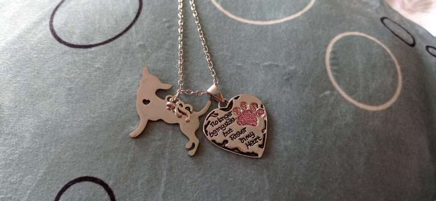 ich fertige personalisierte Halsketten, Armbänder & Fußketten zb Andenken an Regenbogenbrückenhunde-Beitrag-Bild