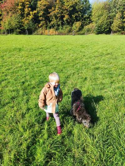 Kinder und Hunde auf dem Weg zum Dreamteam-Beitrag-Bild