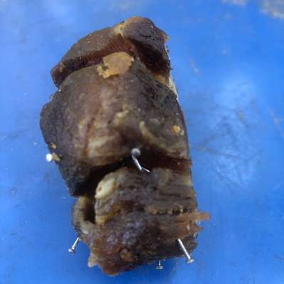 Giftköder-Fleischköder mit Stecknadeln-Bild