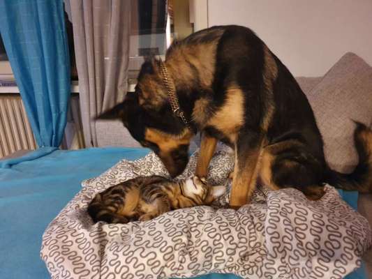 CHALLENGE Nr.17-Beitrag-Bild