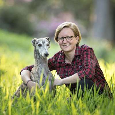 Hundeschulen-Hundeschule Hundelei. Hundetraining Verhaltensberatung-Bild