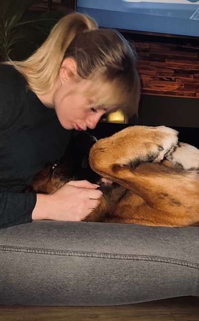 Vertrauen zwischen Hund und Halter-Beitrag-Bild