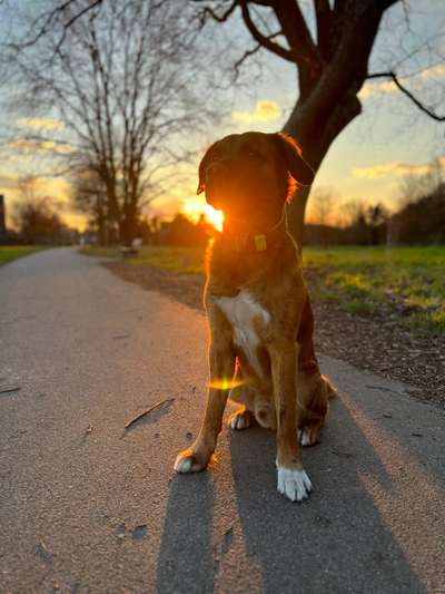 Farben Fotochallenge Sonnenlicht-Beitrag-Bild