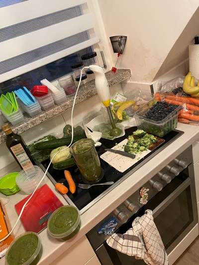 Barfen, wie macht ihr es?-Beitrag-Bild