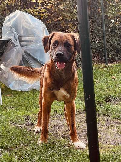 Ist das ein...?-Beitrag-Bild