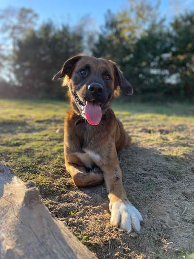 Zeigt eure Portraits-Beitrag-Bild