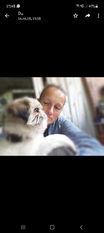 Unsere Sternchen ******-Beitrag-Bild