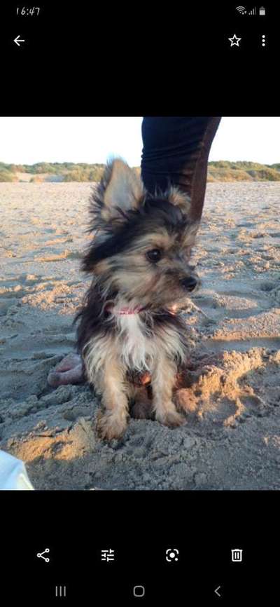 Sie werden so schnell erwachsen ...-Beitrag-Bild