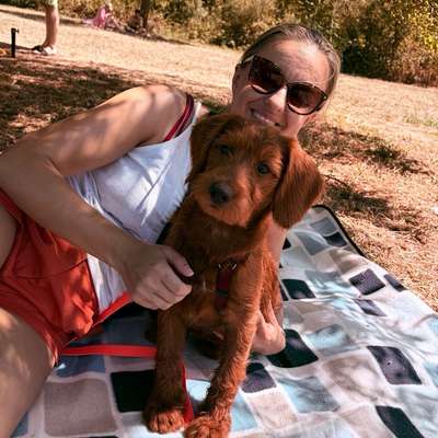 Hundetreffen-Spieletreffen