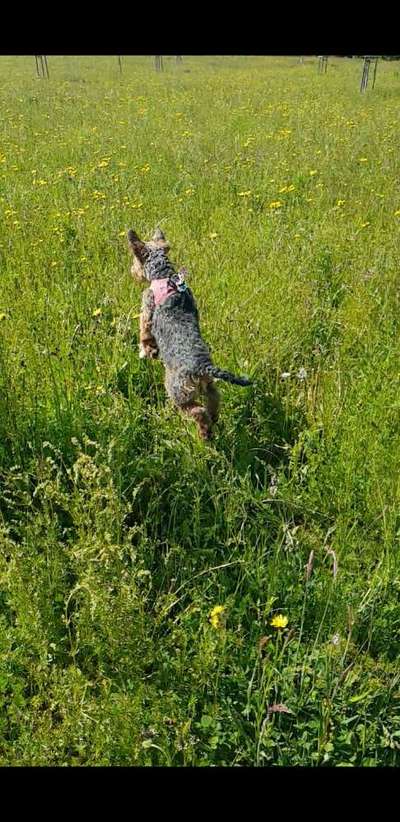 Lustige Bilder-Beitrag-Bild