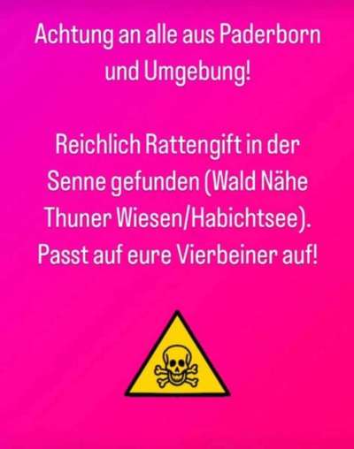Giftköder-Rattengift-Bild