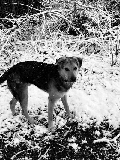 Foto-Challenge 76: Foto in Schwarz-Weiss-Beitrag-Bild